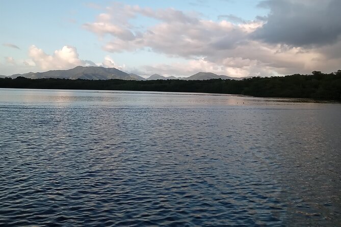 The Scarlet Ibis - Caroni Swamp Tour - Who Will Enjoy This Tour Most?