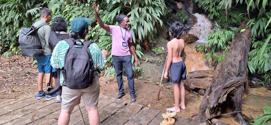 The Tobago Rainforest Tour - Key points at a glance