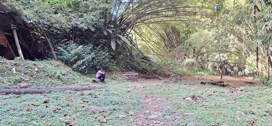 The Tobago Rainforest Tour - Why this Tobago day trip works