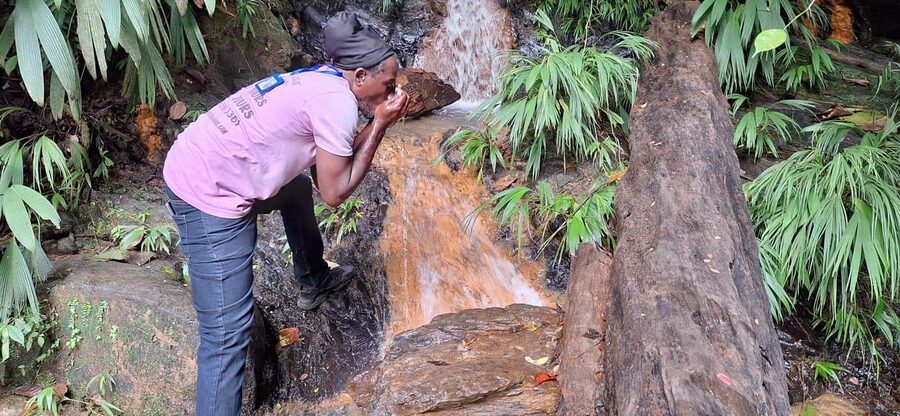 The Tobago Rainforest Tour - Starting with Tobago’s protected rainforest