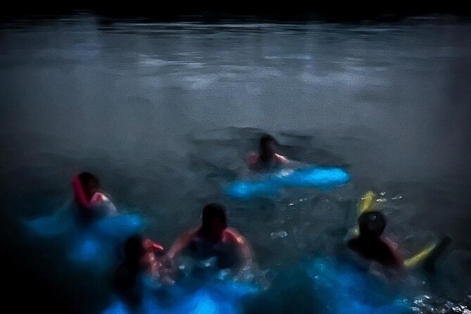 The ULTIMATE Bioluminescence night time adventure with Brandon - Key points at a glance