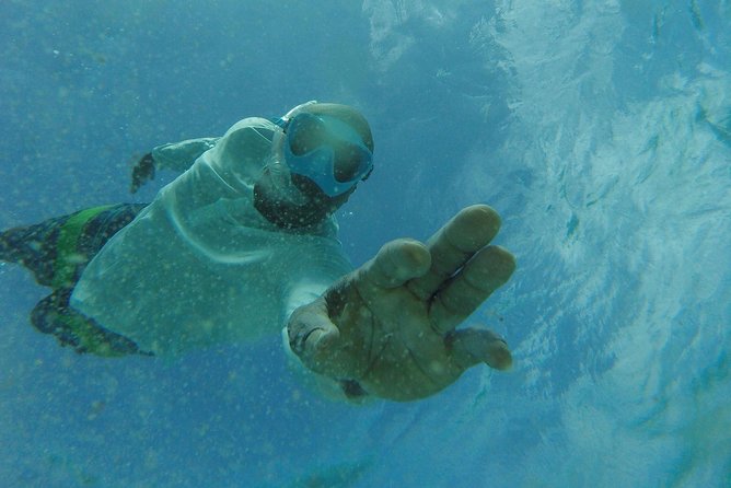 The ULTIMATE Bioluminescence night time adventure with Brandon - Snorkeling equipment is included