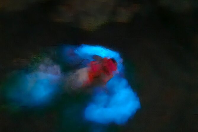 The ULTIMATE Bioluminescence night time adventure with Brandon - Brandon’s role and the value of a two-person outing