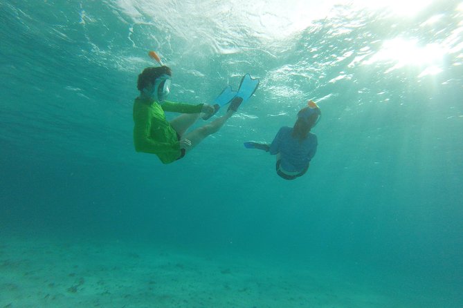 The ULTIMATE Bioluminescence night time adventure with Brandon - Is $170 per person a fair price?