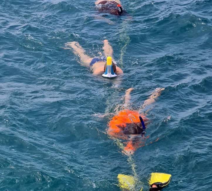 Tobago: Buccoo Reef and Nylon Pool Boat Tour with Transfer - Glass-bottom views on the first hour