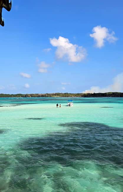 Tobago: Buccoo Reef and Nylon Pool Boat Tour with Transfer - What the $40 price really covers