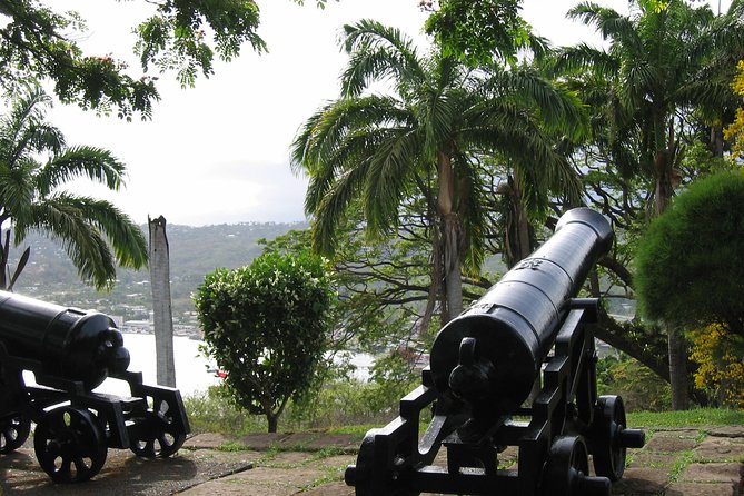Tobago Buccoo Reef Glass Bottom Boat Cruise and Island Sightseeing Tour - How good is the guide service?