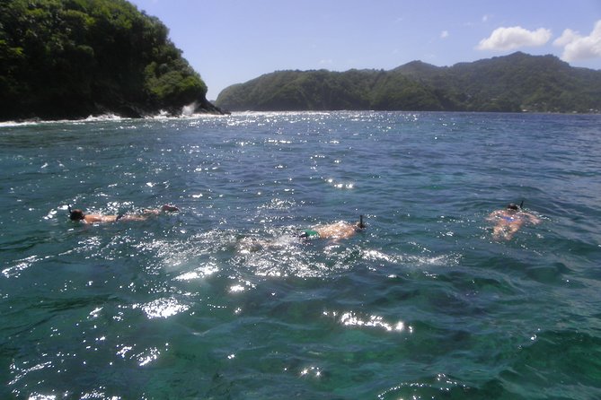 Tobago Buccoo Reef Glass Bottom Boat Cruise and Island Sightseeing Tour - Weather, clothing, and what to bring
