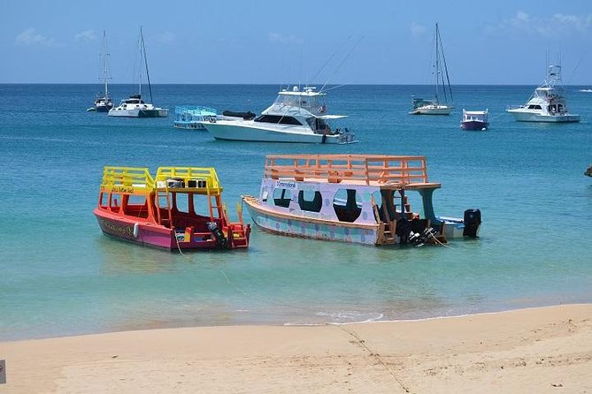 Tobago Buccoo Reef Glass Bottom Boat Cruise and Island Sightseeing Tour - Crossing Tobago to Plymouth and the Mystery Tombstone