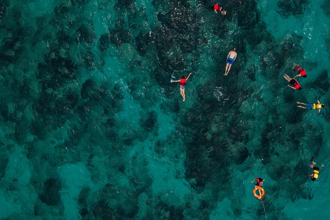 Tobago Buccoo Reef Glass Bottom Boat Tour - Edith and the human side of the tour