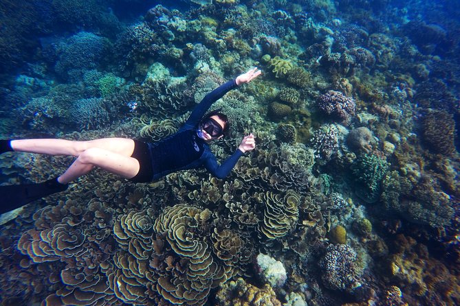 Tobago Buccoo Reef Glass Bottom Boat Tour - Is $78 a fair price?