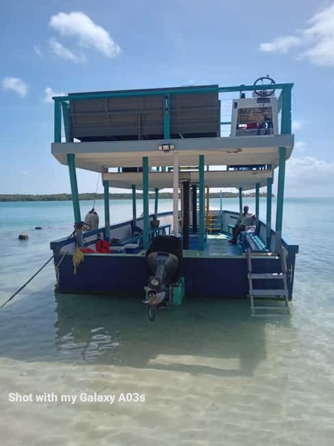 Tobago: Buccoo Reef Marine Park Glass Bottom Boat Tour - Why Buccoo Reef Makes a Good Half-Day Trip