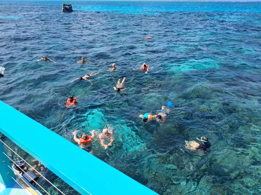 Tobago: Buccoo Reef Marine Park Glass Bottom Boat Tour - Coral Garden and the Famous Brain Coral