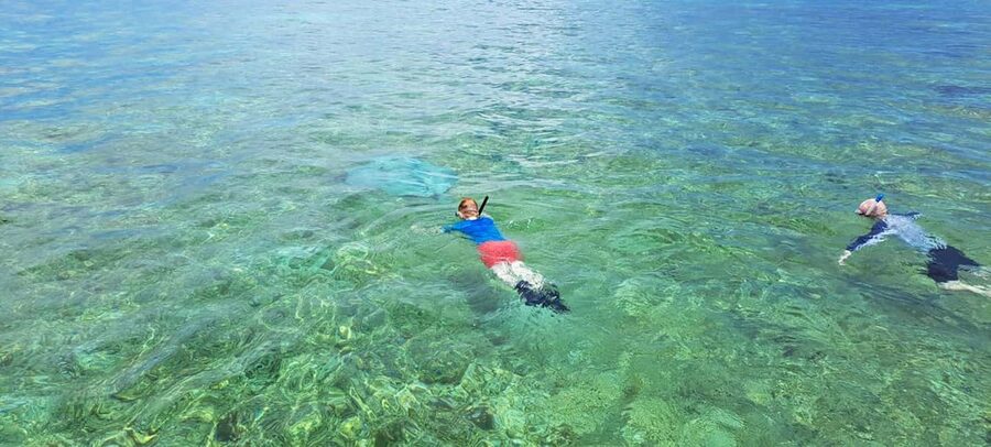 Tobago: Coral Reef Boat Tour with BBQ and Transfer - Key points to know before you book