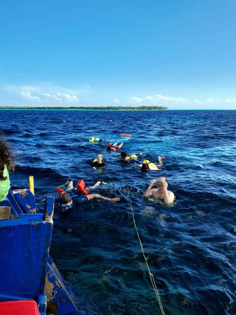 Tobago: Coral Reef Boat Tour with BBQ and Transfer - What this Tobago outing is really like
