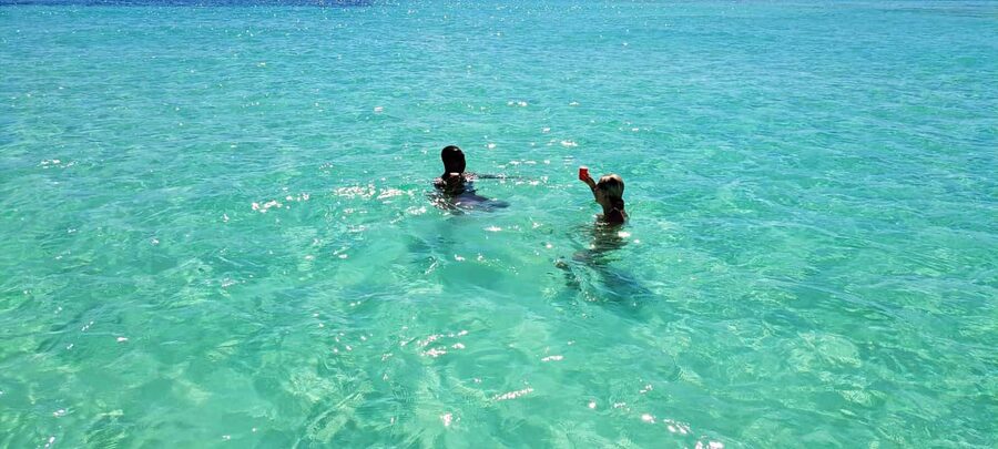 Tobago: Coral Reef Boat Tour with BBQ and Transfer - Practical advice for a smoother day