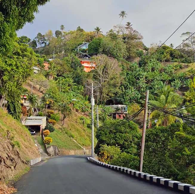 Tobago: Full Day Atlantic Coast Tour with Lunch - Jemma’s Tree House turns lunch into a destination
