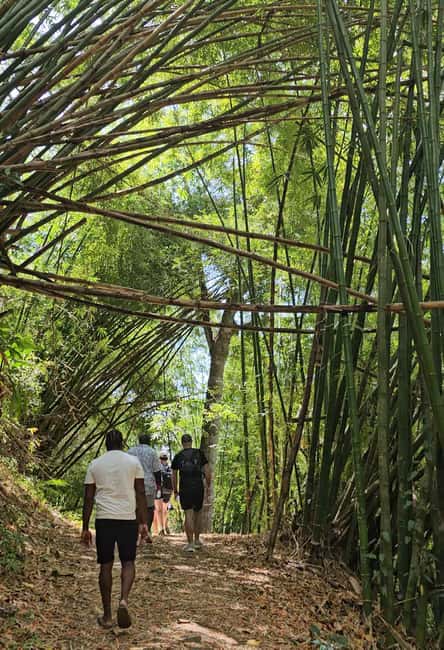 Tobago: Half Day Atlantic Coast Tour with Transfer - Key points to know before you book