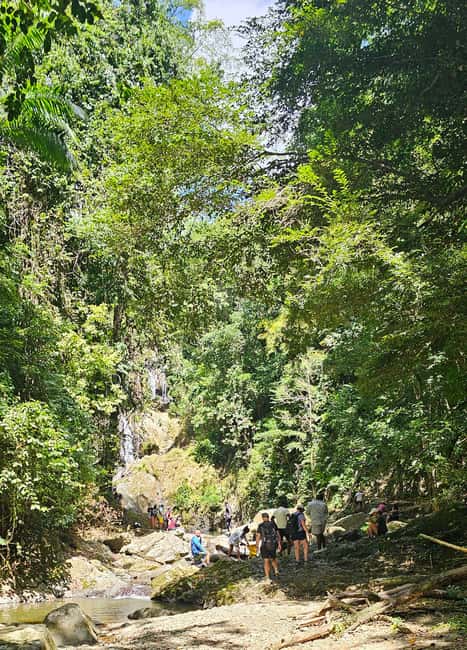 Tobago: Half Day Atlantic Coast Tour with Transfer - Fort Granby and the quieter Atlantic coast