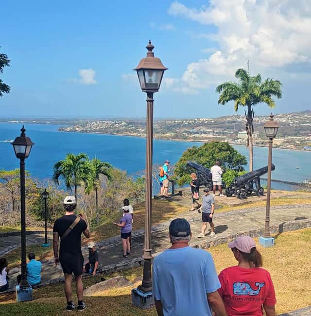 Tobago: Half Day Atlantic Coast Tour with Transfer - How much guiding should you expect?