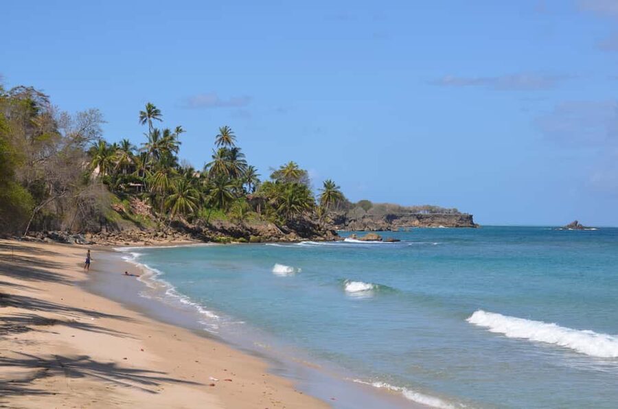 Tobago: Half-Day Highlights Tour - Key points to know before you book