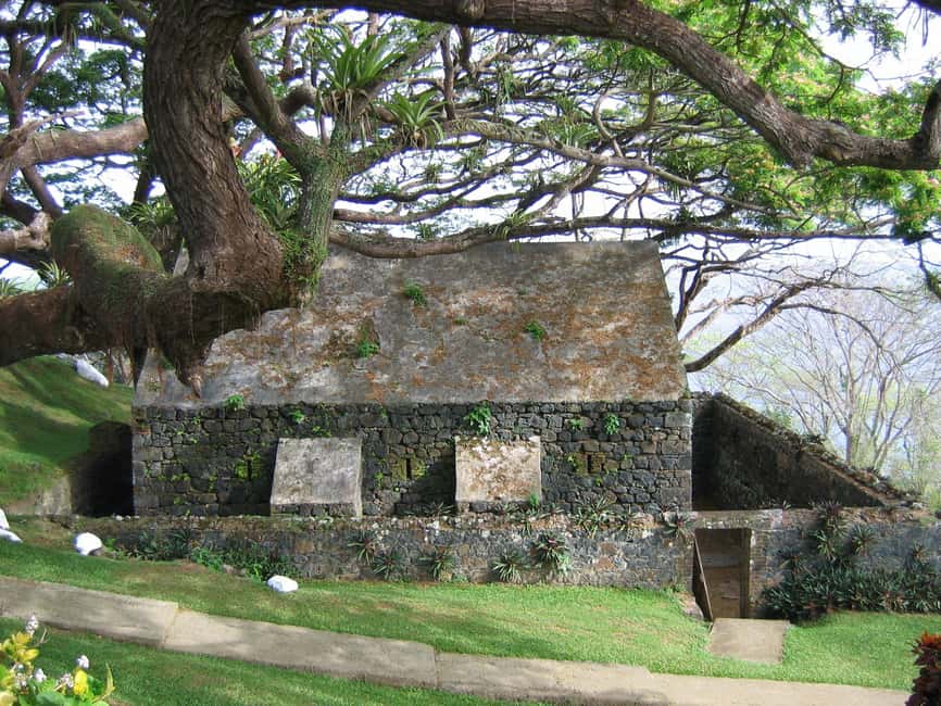 Tobago: Half-Day Highlights Tour - A three-hour introduction to Tobago