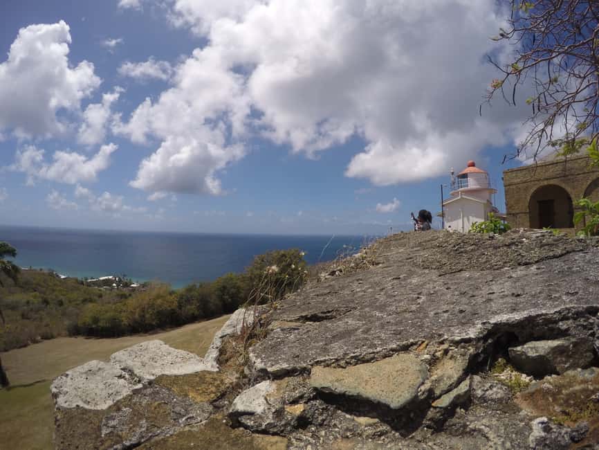 Tobago: Half-Day Highlights Tour - Crossing the island by small villages