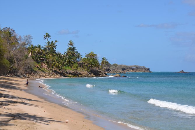 Tobago Island Tour - Key details to know before booking