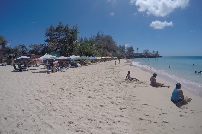 Tobago Island Tour - The old Silk Cotton Tree and the road west