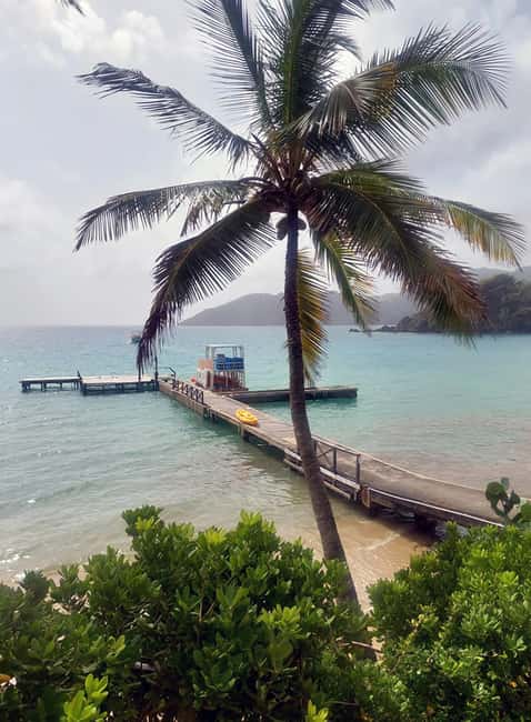 Tobago: Little Tobago Bird Sanctuary Visit and Boat Tour - Why this six-hour outing works