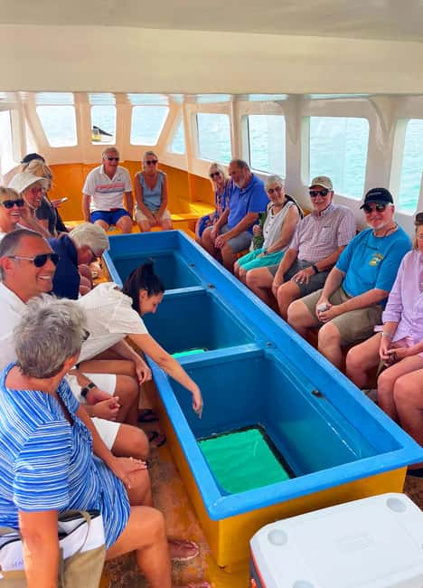 Tobago: Little Tobago Bird Sanctuary Visit and Boat Tour - Glass-bottom boat views near Goat Island
