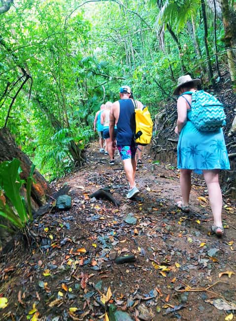 Tobago: Little Tobago Bird Sanctuary Visit and Boat Tour - Little Tobago Bird Sanctuary rewards the uphill walk