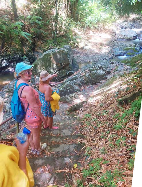 Tobago: Little Tobago Bird Sanctuary Visit and Boat Tour - Jemma’s Tree House brings local food and a view