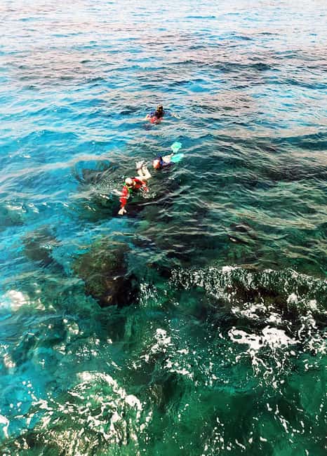 Tobago: Little Tobago Bird Sanctuary Visit and Boat Tour - Who will get the most from this tour
