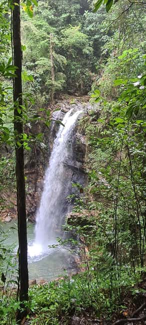 Trinidad: Avocat Waterfall and Maracas Bay Beach Tour - What $115 per person really covers