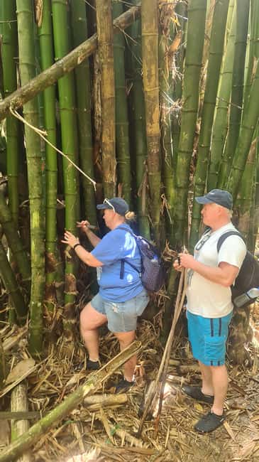 Trinidad: Avocat Waterfall and Maracas Bay Beach Tour - The guide can shape the whole day
