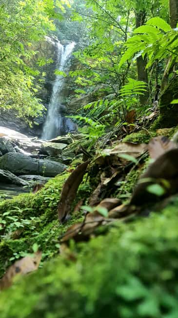 Trinidad: Avocat Waterfall and Maracas Bay Beach Tour - The ride toward Avocat Waterfall
