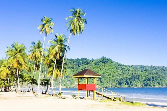 Trinidad Highlights and Scenic Drive Tour - Key points at a glance