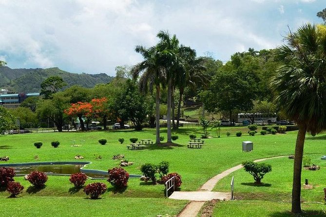 Trinidad Highlights Tour from Port of Spain - Royal Botanical Gardens and a short tropical walk