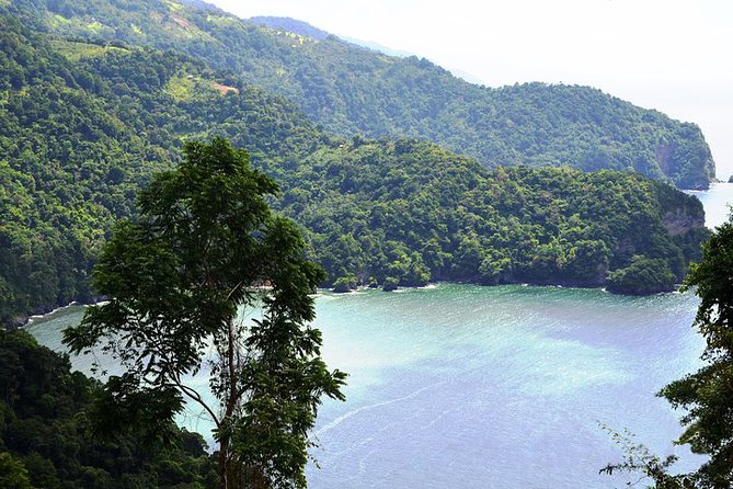Trinidad Highlights Tour from Port of Spain - The North Coast Road and Maracas Beach