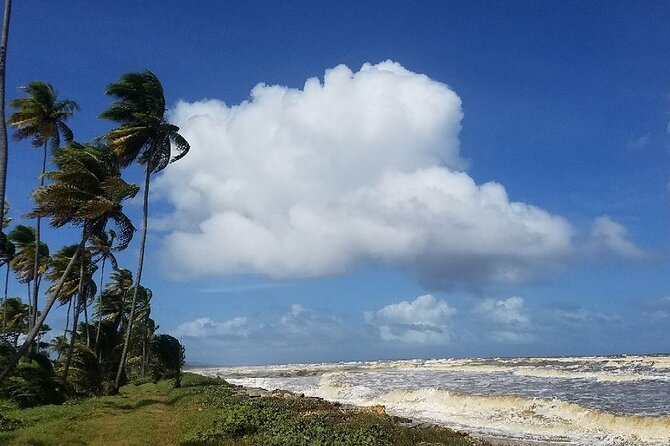 Trinidad Island Circle Tour with Pickup - Manzanilla, Mayaro Beach, and the Atlantic side