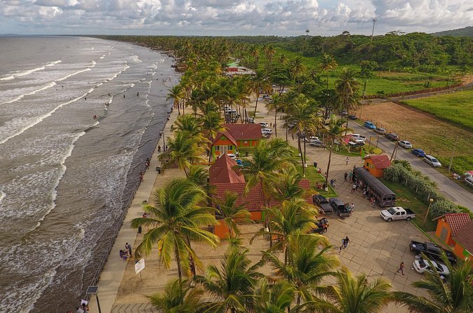 Trinidad Island Circle Tour with Pickup - Who will get the most from this day