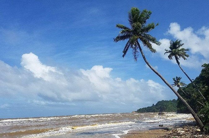 Trinidad Island Circle Tour with Pickup - My verdict: book it for context, not constant action