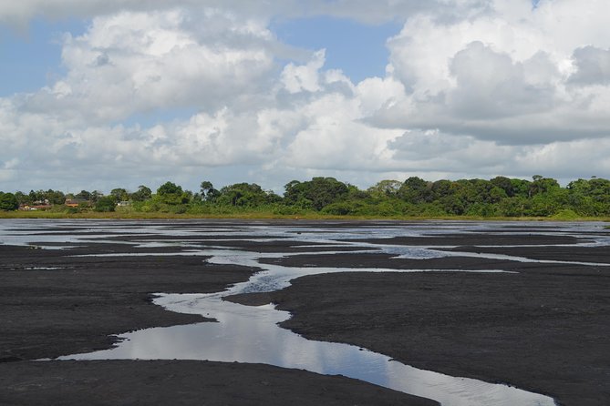 Trinidad Island Sightseeing Tour: Pitch Lake and Chaguanas - Dattatreya Temple and the 85-Foot Hanuman