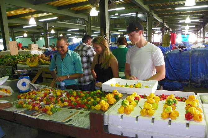 Trinidad Island Sightseeing Tour: Pitch Lake and Chaguanas - How Much Value Do You Get for $115?