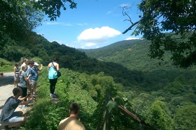 Trinidad Nature and Asa Wright Center Full-Day Tour from Port of Spain - Five hours at Asa Wright Nature Center