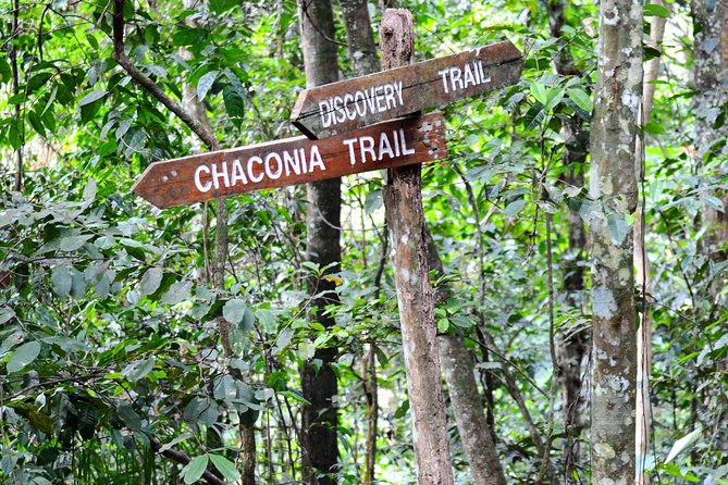 Trinidad Nature and Asa Wright Center Full-Day Tour from Port of Spain - Who should book this nature tour?