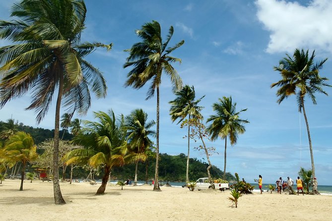Trinidad Northern Eco-Cultural Full-Day Highlights Tour from Port of Spain - What the $125 Price Includes