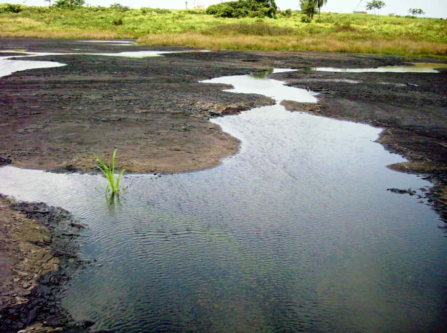 Trinidad: Pitch Lake and Chaguanas Sightseeing Tour - Chaguanas markets: a useful stop for local color