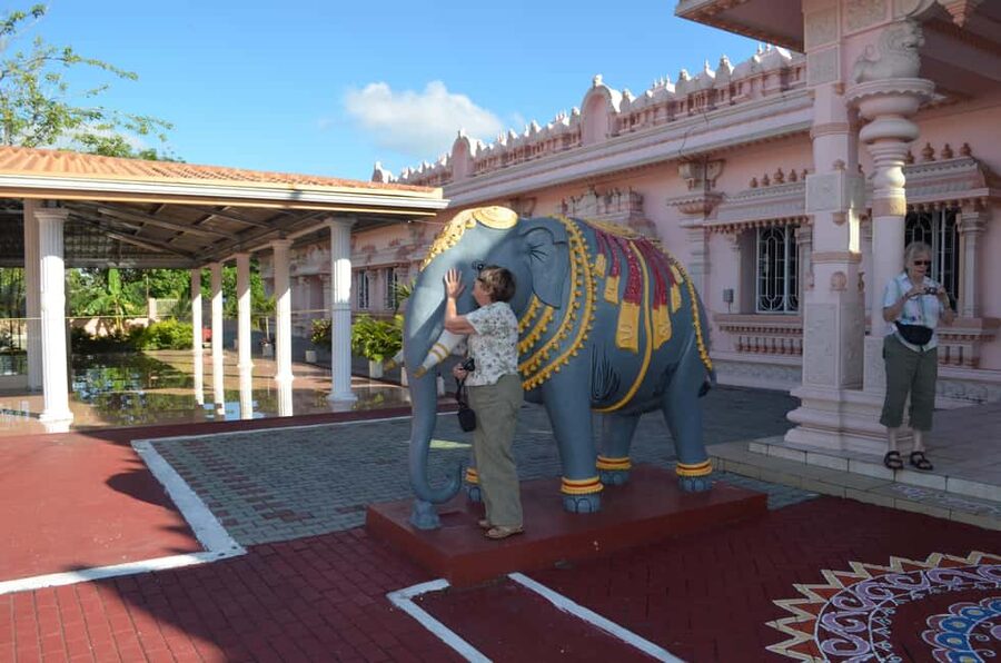 Trinidad: Pitch Lake and Chaguanas Sightseeing Tour - What the eight-hour schedule feels like